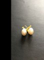 Brincos com pérolas Cód. Br34